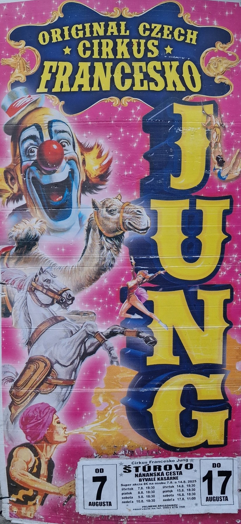 sturovo cirkus jung